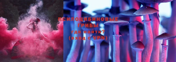 ECSTASY Баксан