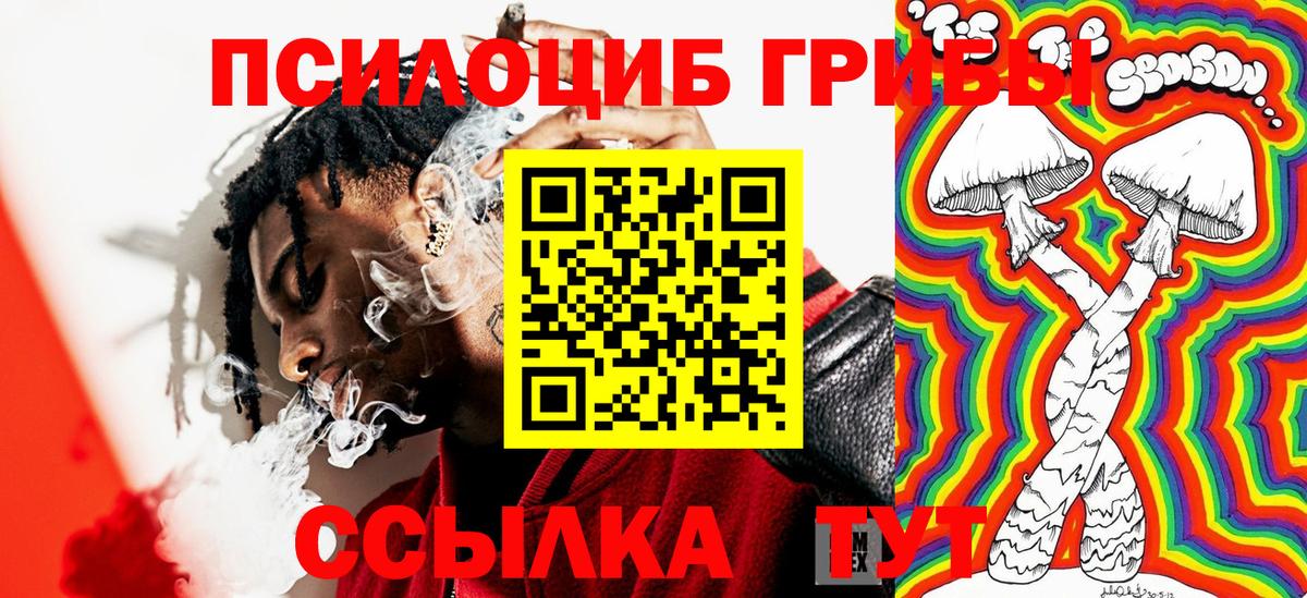 Галлюциногенные грибы мухоморы Биробиджан