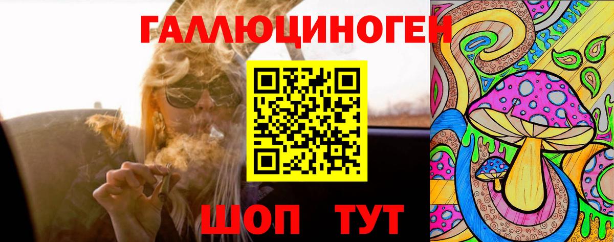 Псилоцибиновые грибы мицелий  Вход с VPN  Биробиджан 