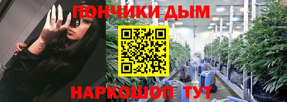 МАРИХУАНА SATIVA & INDICA Биробиджан